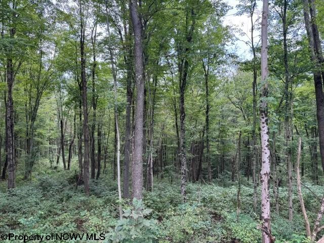 Tbd Massie Hollow Road Rivesville, WV 26588 - Photo 11 of 26 Gallery Image 11