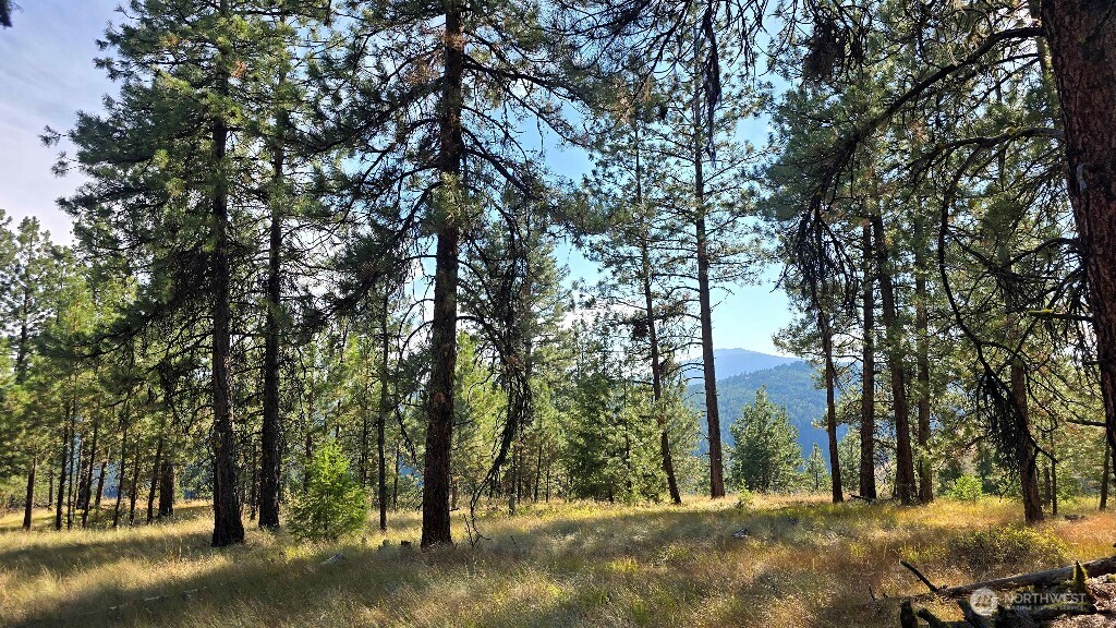 188 Rebel Road Oroville, WA 98844 - Photo 24 of 37 Gallery Image 24