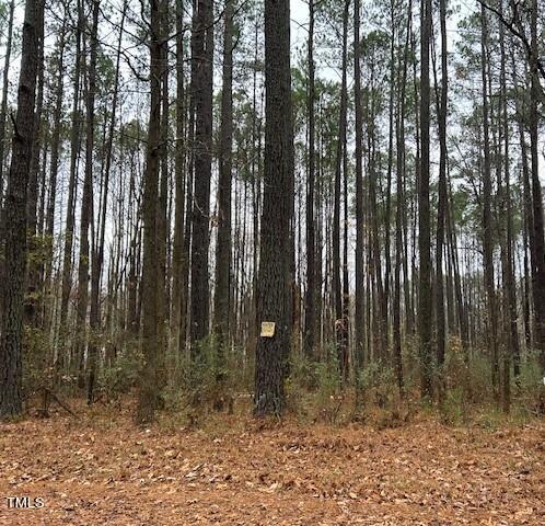 1416 Auman Road Raleigh, NC 27603 - Photo 6 of 9 IMG_7776