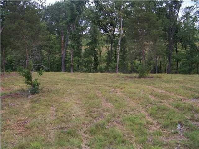 6877 Jackson Point Road, Unit LOT 14 Sewanee, TN 37375 - Photo 2 of 6 20150801200422398349000000-o
