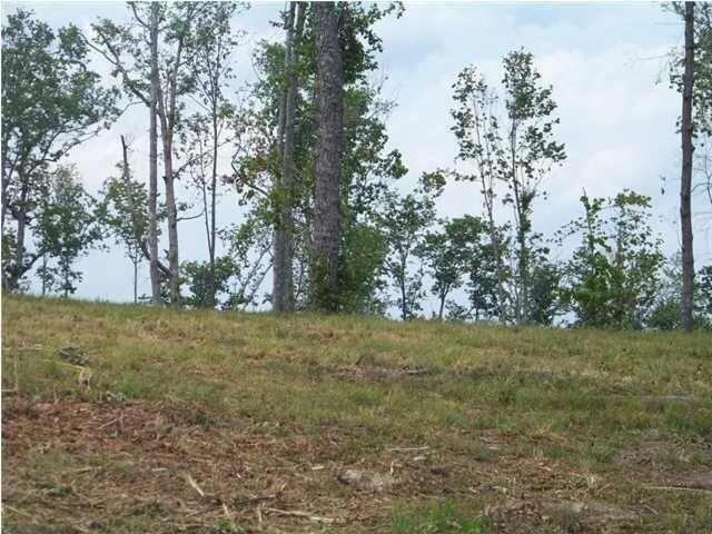 6877 Jackson Point Road, Unit LOT 14 Sewanee, TN 37375 - Photo 5 of 6 20150801200420814943000000-o