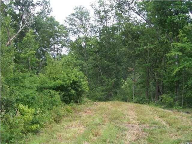 6877 Jackson Point Road, Unit LOT 14 Sewanee, TN 37375 - Photo 6 of 6 20150801200423099200000000-o