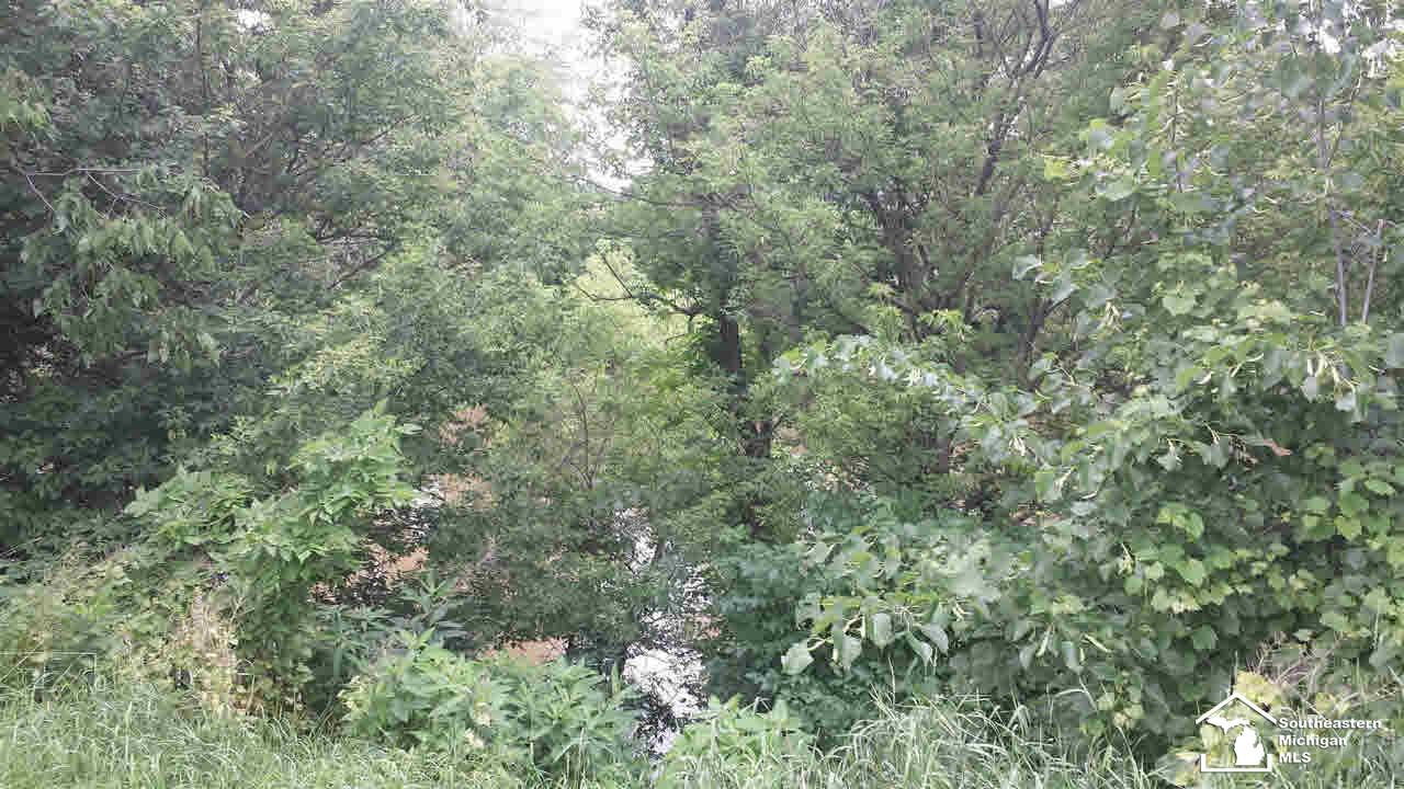 1517 Plank Road Dundee, MI 48131 - Photo 4 of 4 View of River thru Trees