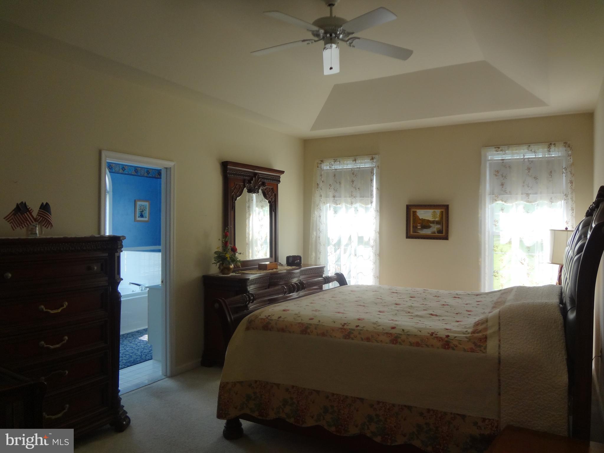 406 Longdraft Road Gaithersburg, MD 20878 - Photo 6 of 10 Tray ceiling