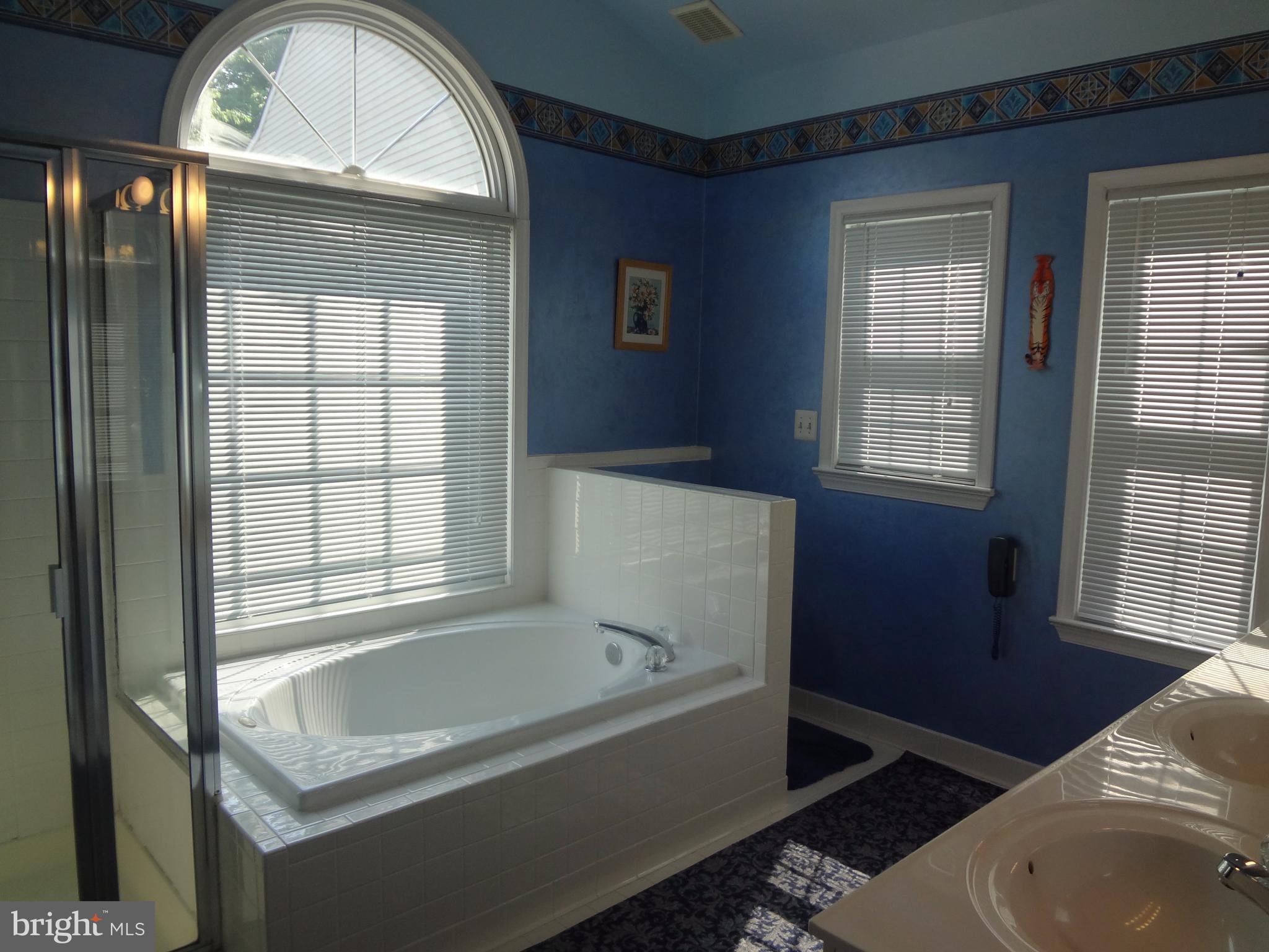406 Longdraft Road Gaithersburg, MD 20878 - Photo 7 of 10 Bath (Master)