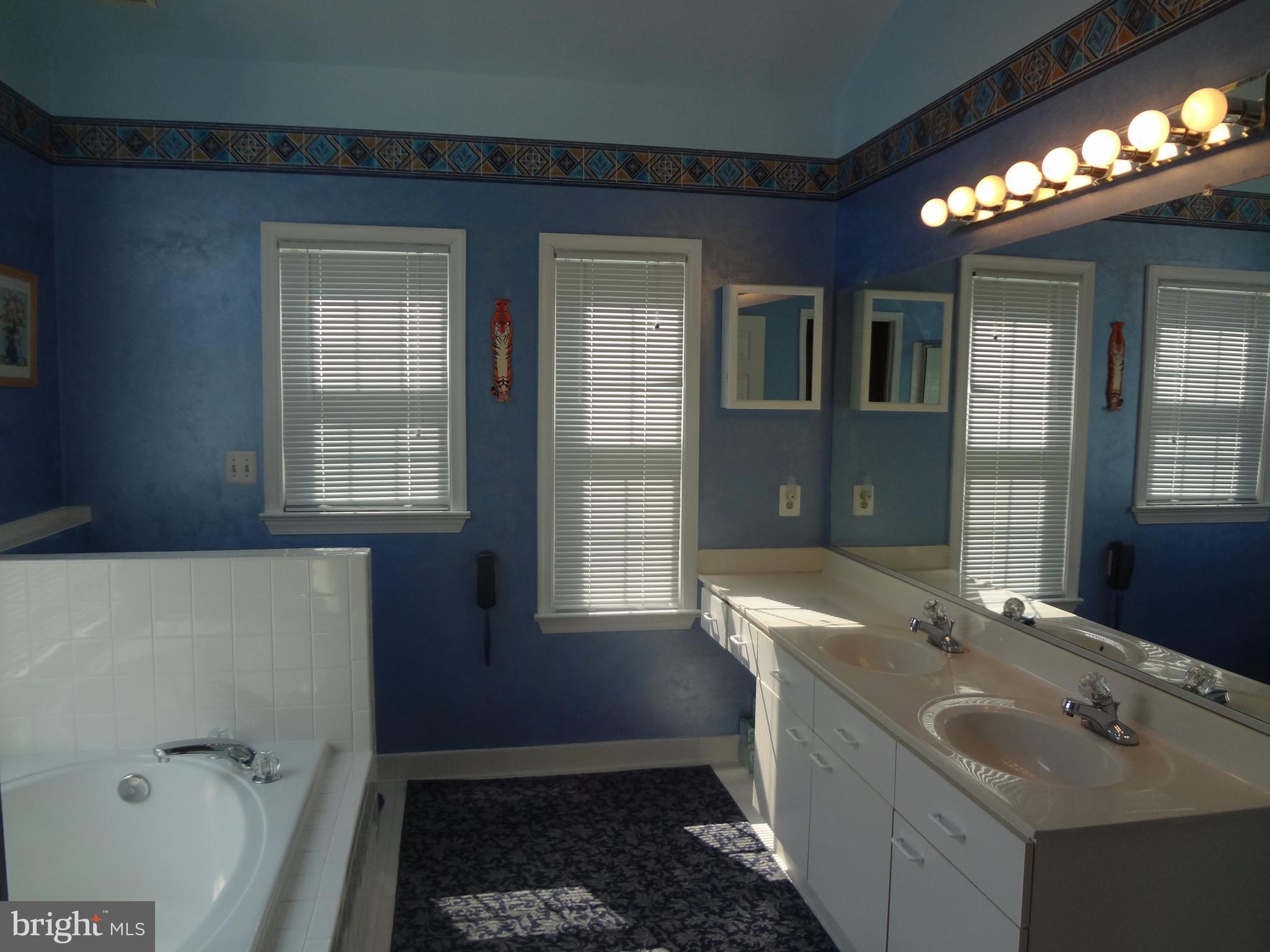 406 Longdraft Road Gaithersburg, MD 20878 - Photo 8 of 10 Bath (Master)
