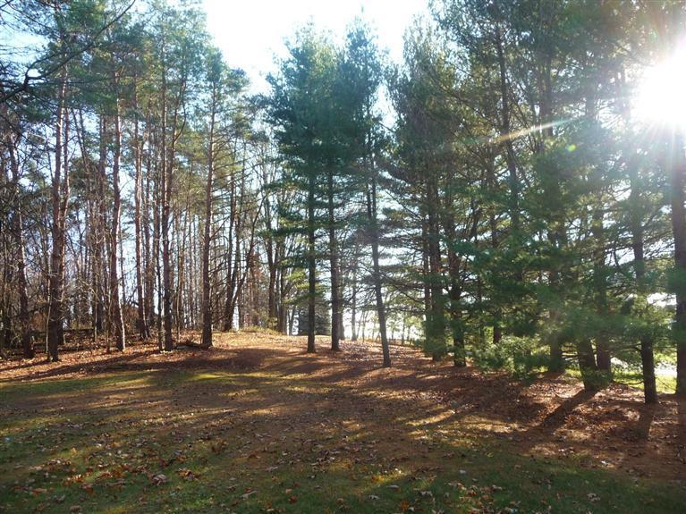 63391 Balk Road Sturgis, MI 49091 - Photo 20 of 23 Additional Photo