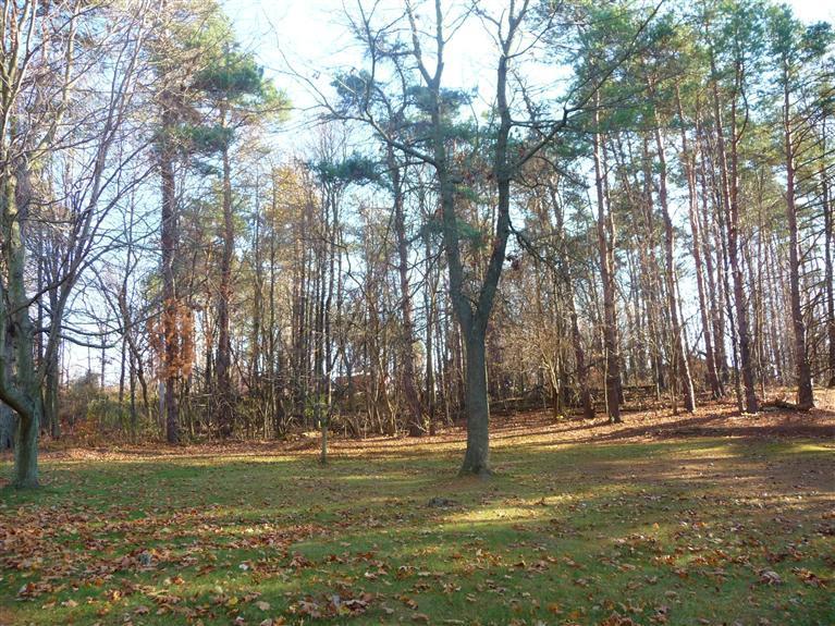 63391 Balk Road Sturgis, MI 49091 - Photo 21 of 23 Additional Photo