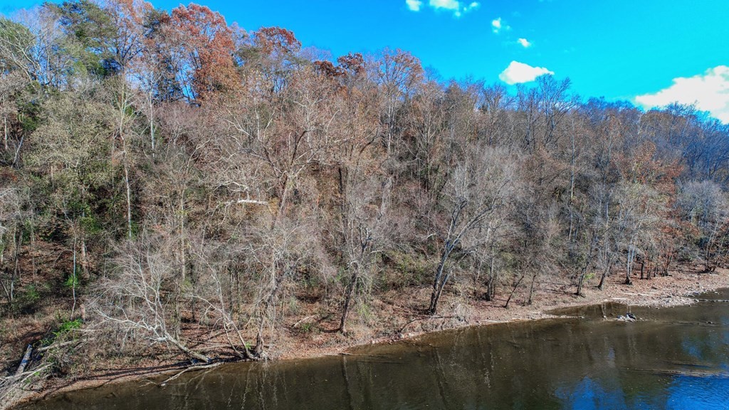 2041 Bluff Road Parrottsville, TN 37843 - Photo 12 of 38 Gallery Image 12