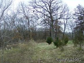 Sage Road Hettick, IL 62649 - Photo 3 of 8