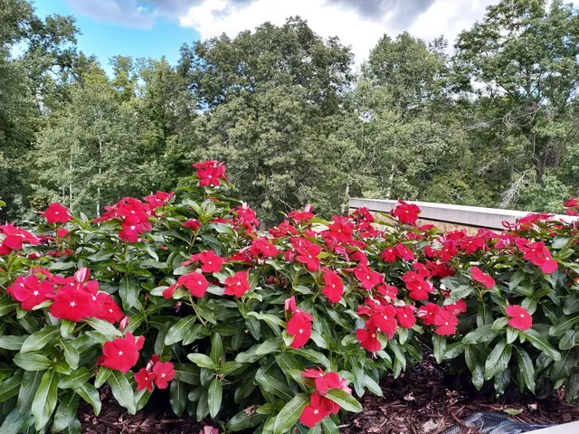 $3,300,000 | 685 Hidden Creek Trail, Mendota Heights, MN 55118