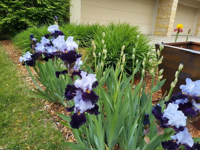 $3,300,000 | 685 Hidden Creek Trail, Mendota Heights, MN 55118