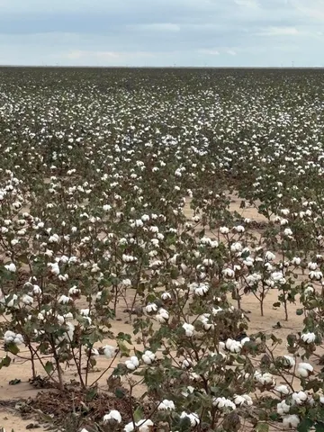 $2,350,000 | South Parsley Road, Amarillo, TX 79118