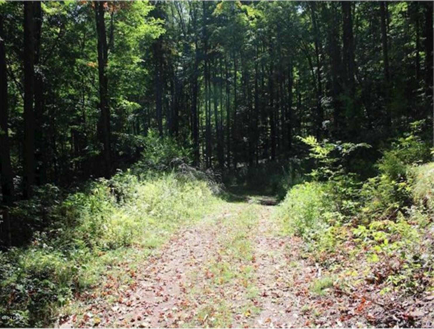 Dryden Road Walton, NY 13856 - Photo 24 of 33
