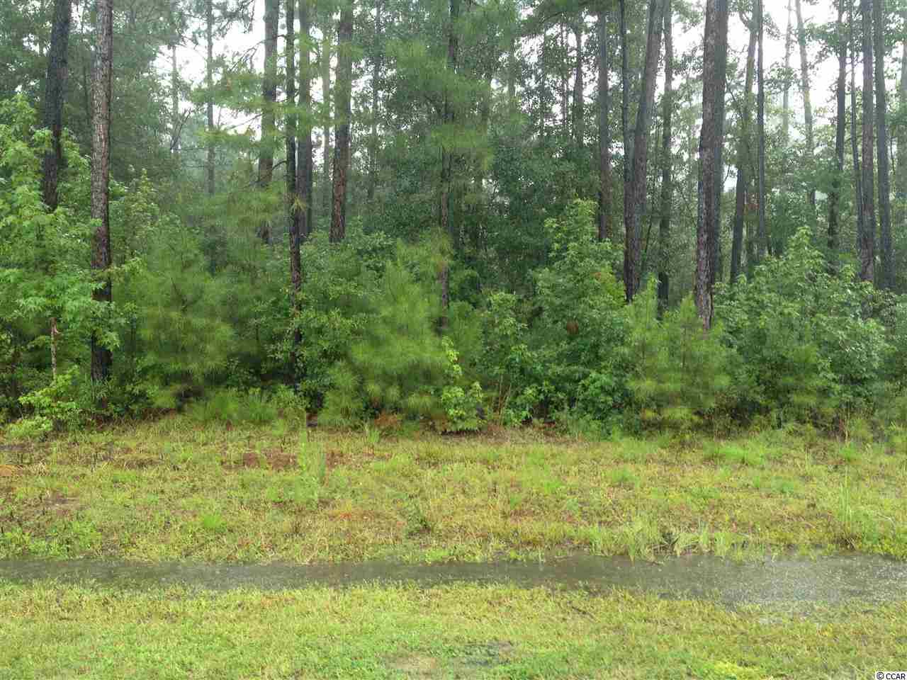 1000 Francis Parker Road Georgetown, SC 29440 - Photo 1 of 2 Gallery Image 1