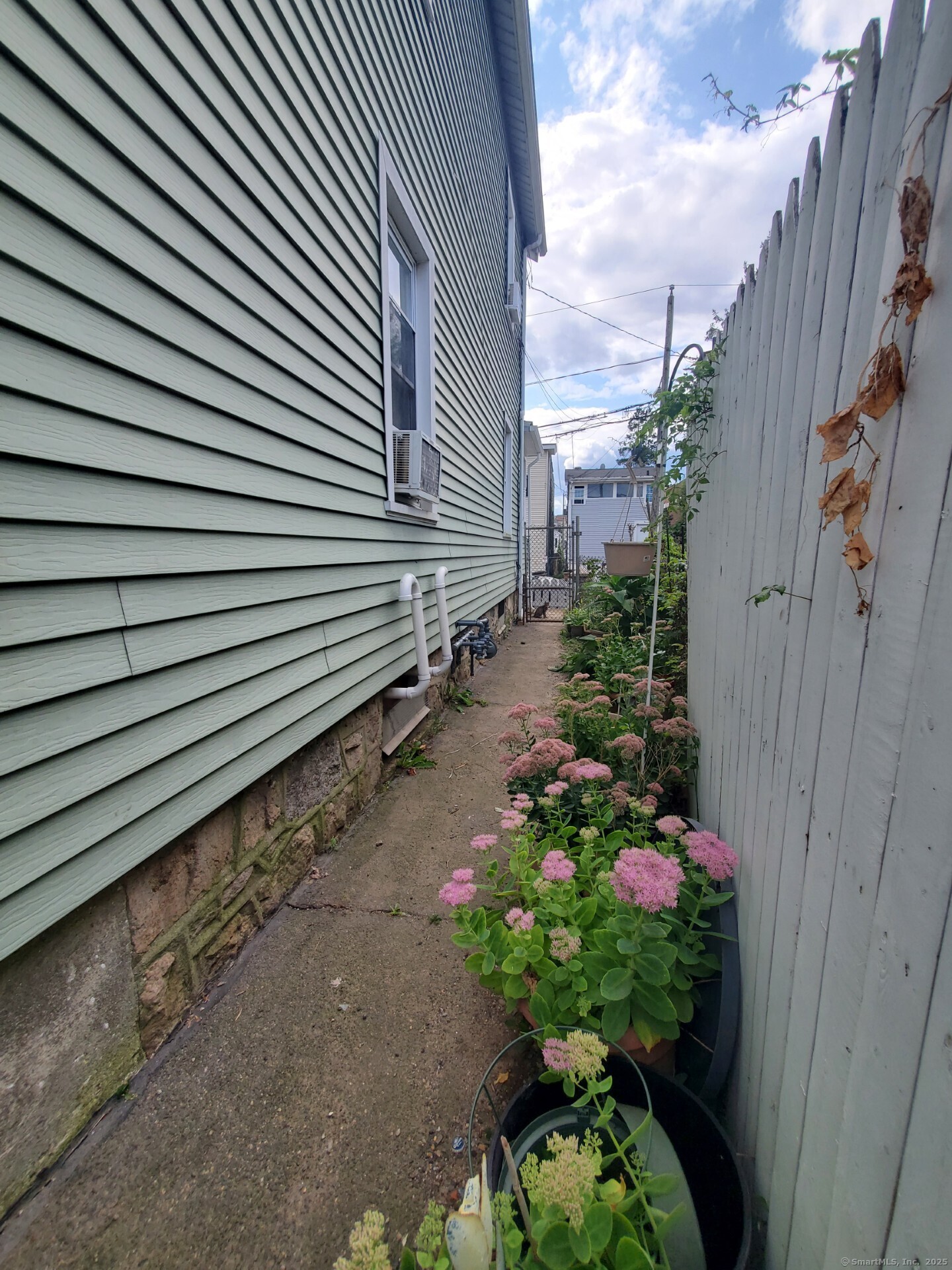17 Alden Street Stamford, CT 06902 - Photo 5 of 34 a flower plants with wooden fence