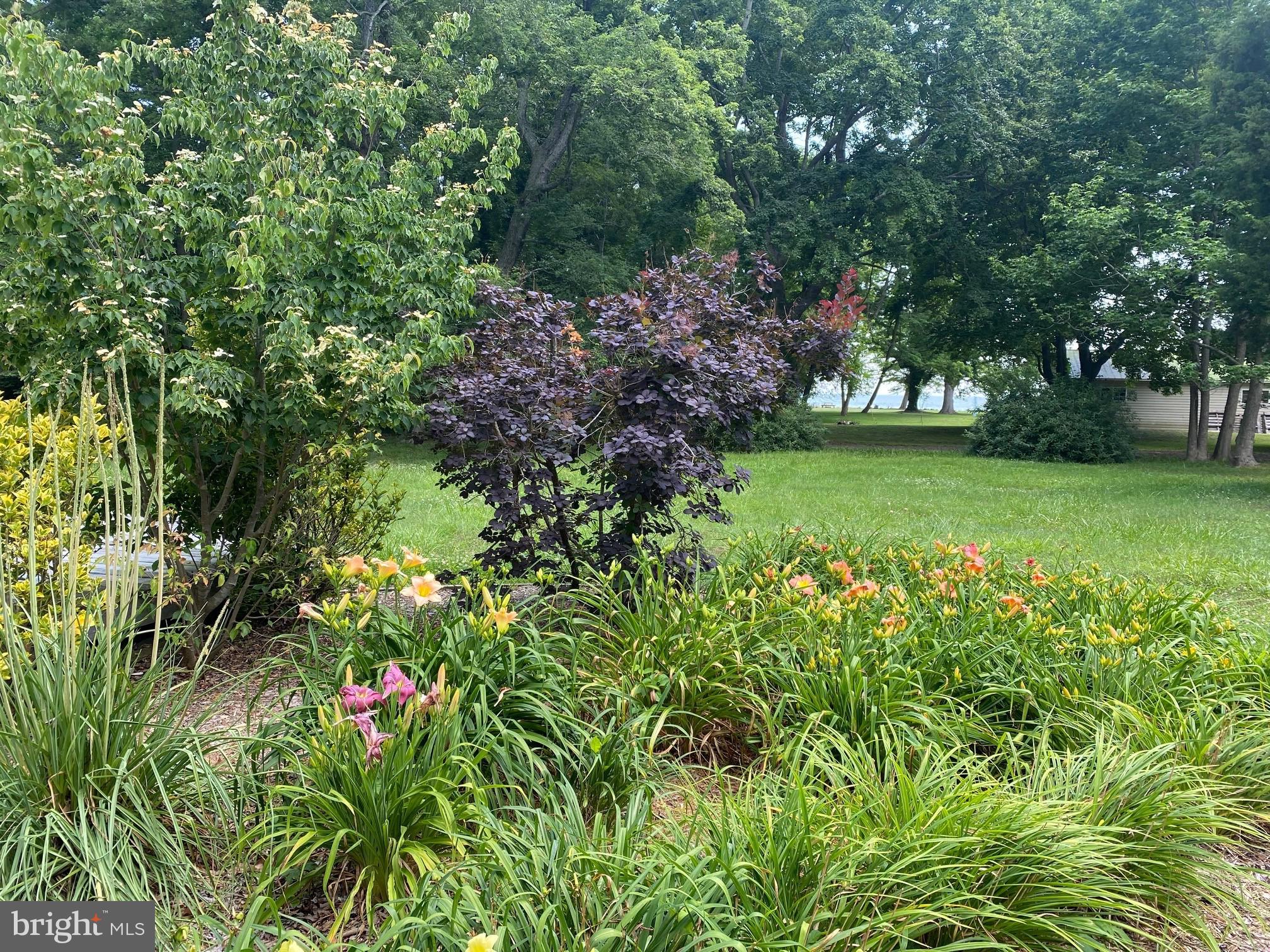 20176 Tippett Road Lexington Park, MD 20653 - Photo 20 of 37 Gallery Image 20