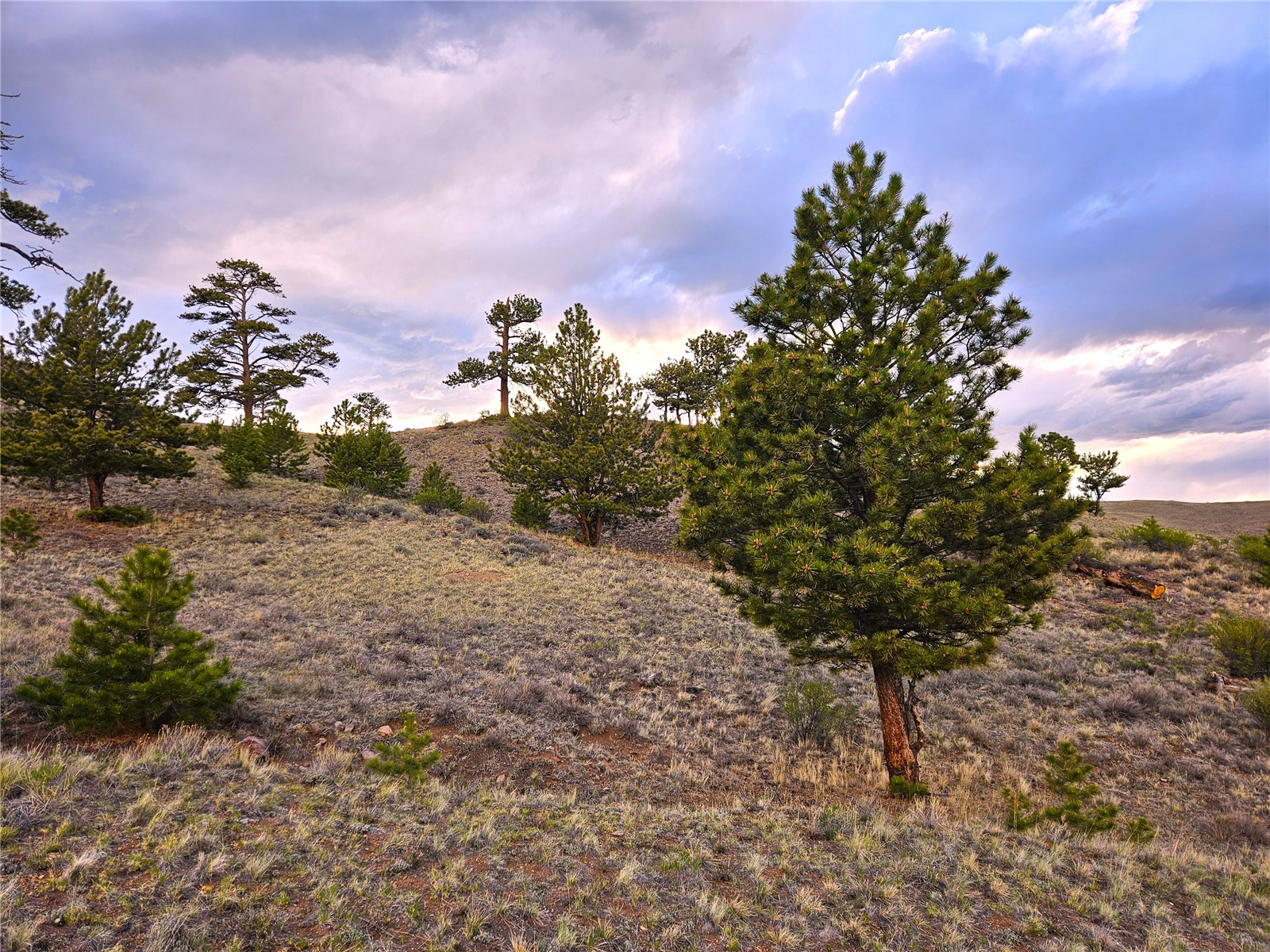 Pcs#25427 Yuma Road Hartsel, CO 80449 - Photo 4 of 29