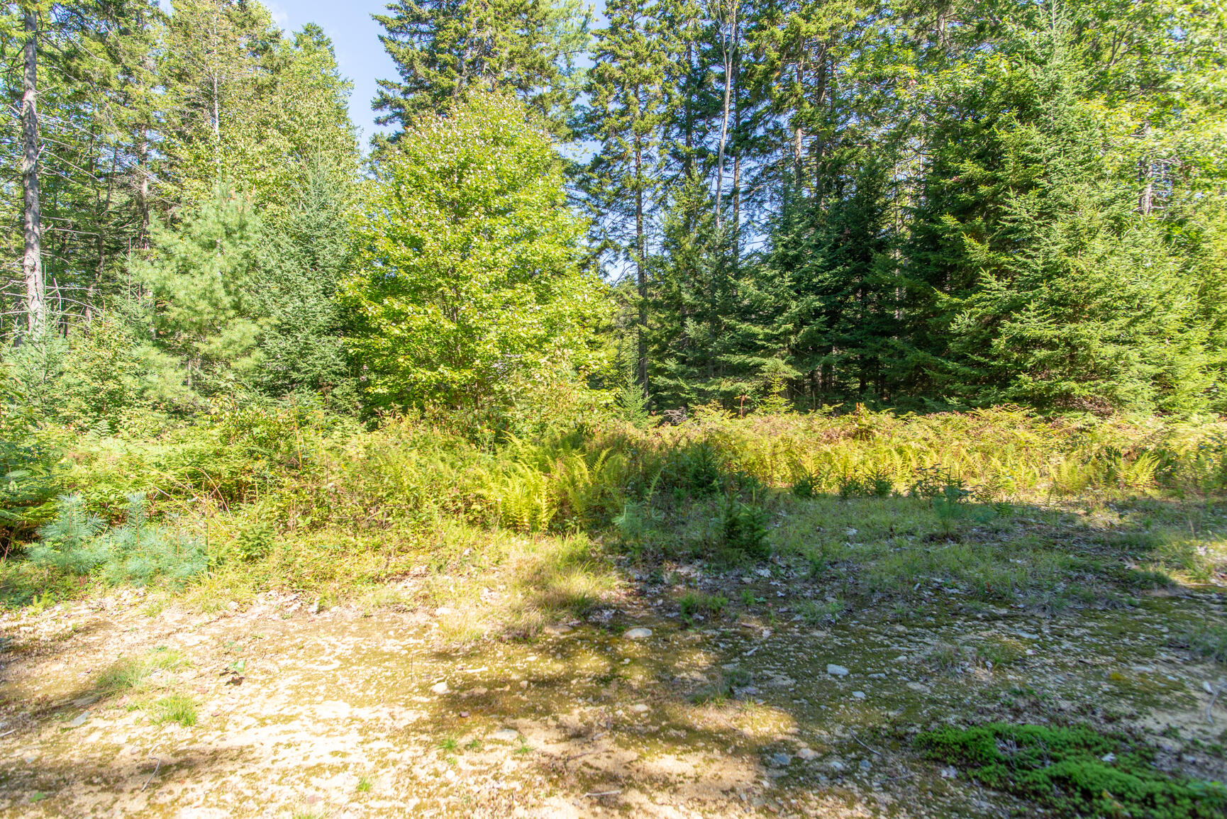 Lot 26 B North Road Chebeague Island, ME 04017 - Photo 7 of 11 untitled-7
