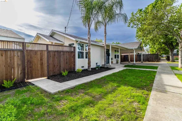 a view of a backyard with a garden and plants