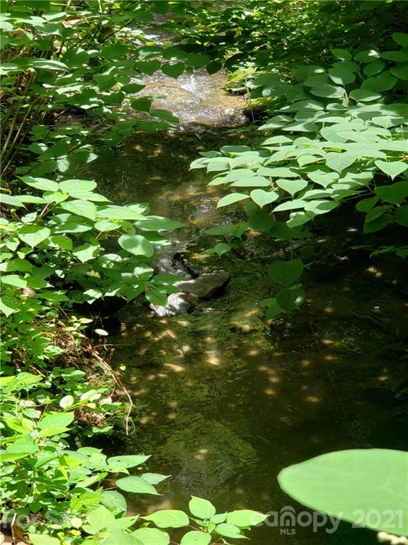 1014 Pearson Falls Road Saluda, NC 28773 - Photo 5 of 5 Gallery Image 5