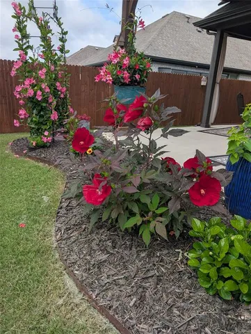 a view of a potted flower in a yard