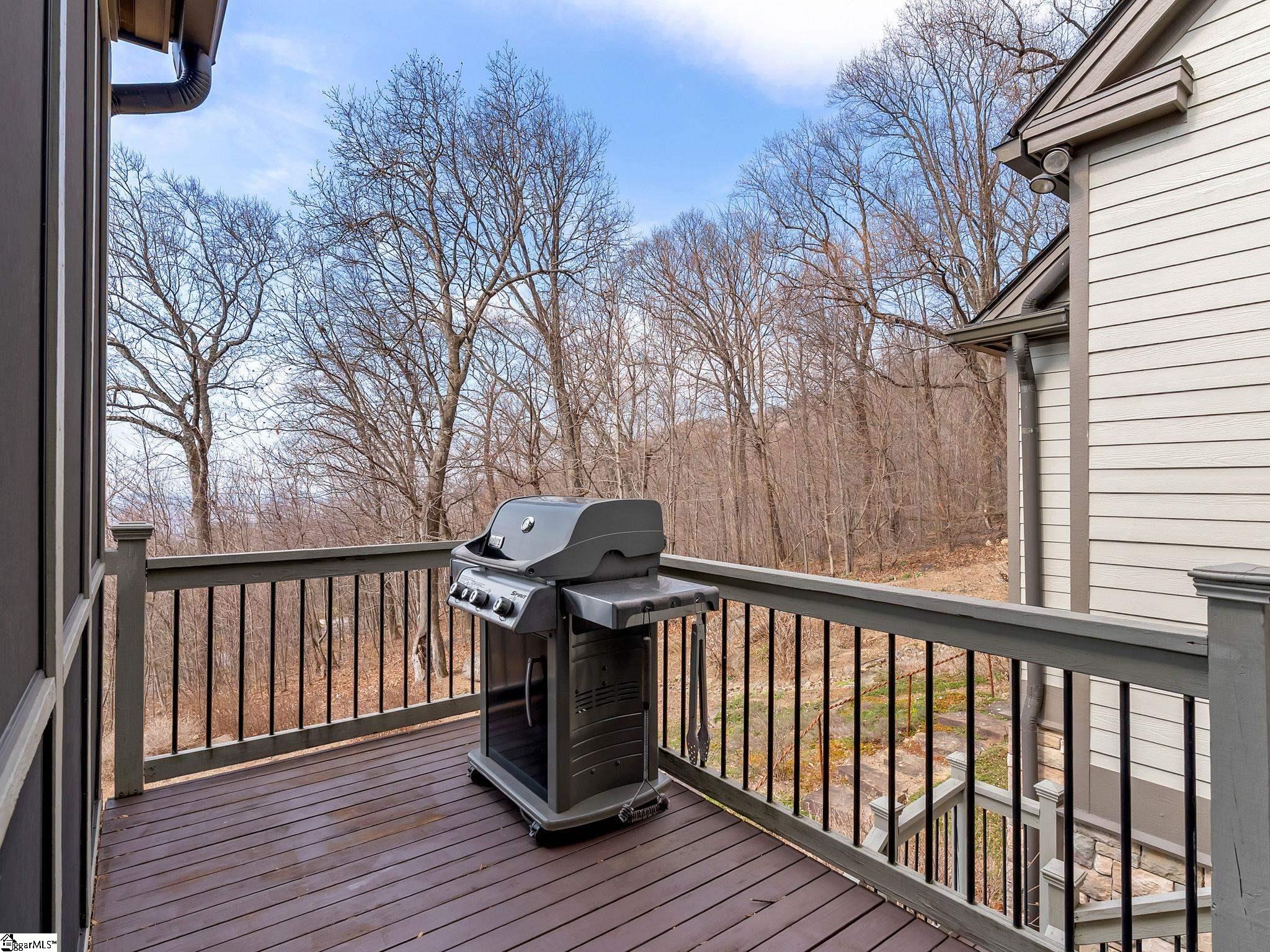 1 Boulder Lookout Drive Landrum, SC 29356 - Photo 25 of 40