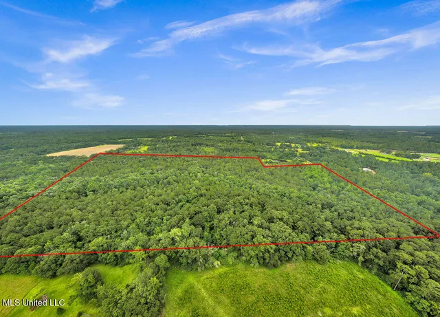 $375,000 | 278 Cowart Road, Lucedale, MS 39452