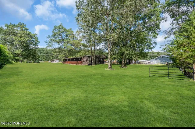 a view of a grassy field with trees