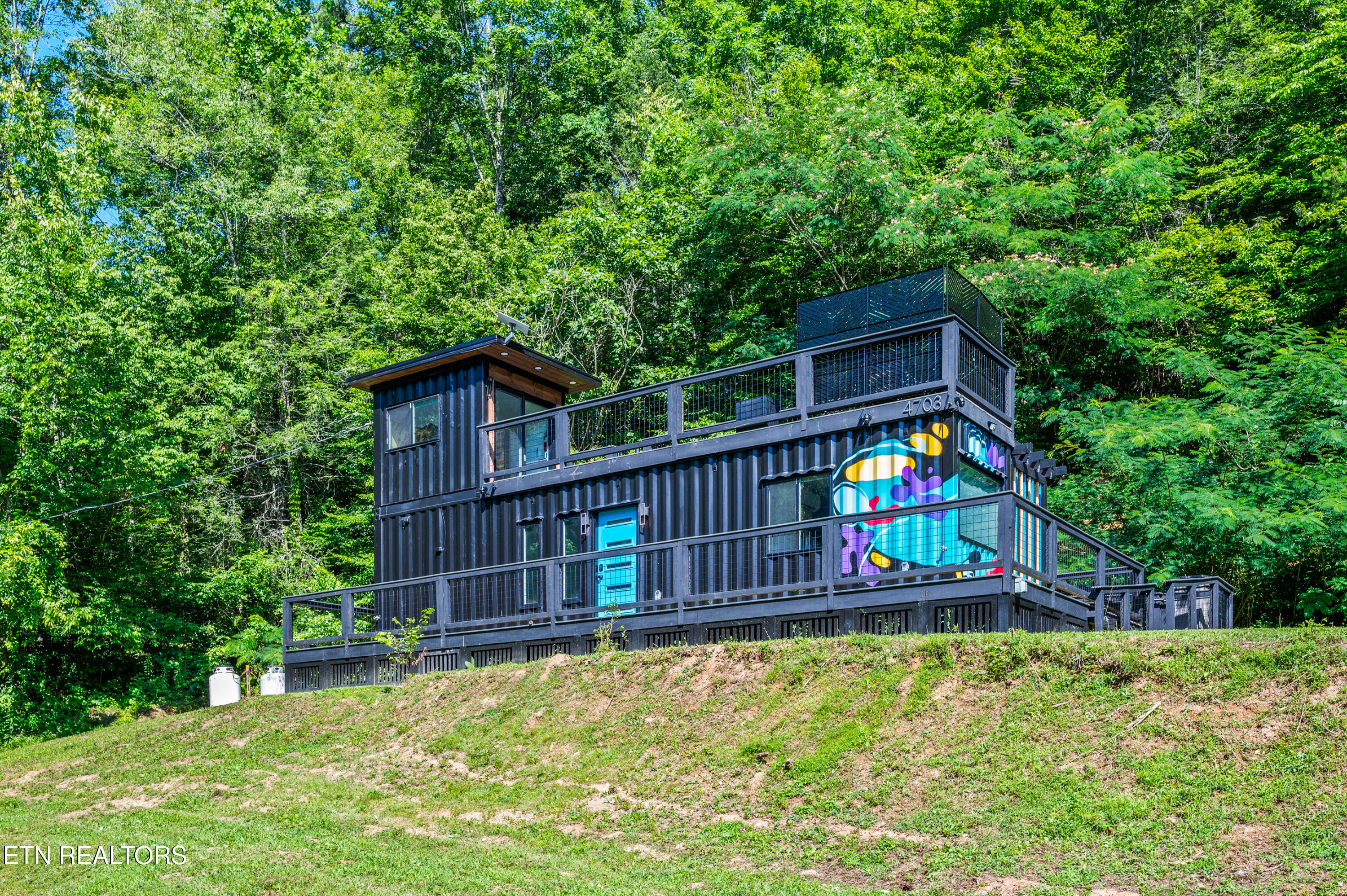 4703 Tiger Lilly Drive Cosby, TN 37722 - Photo 48 of 48 4703 Tiger Lilly Drive