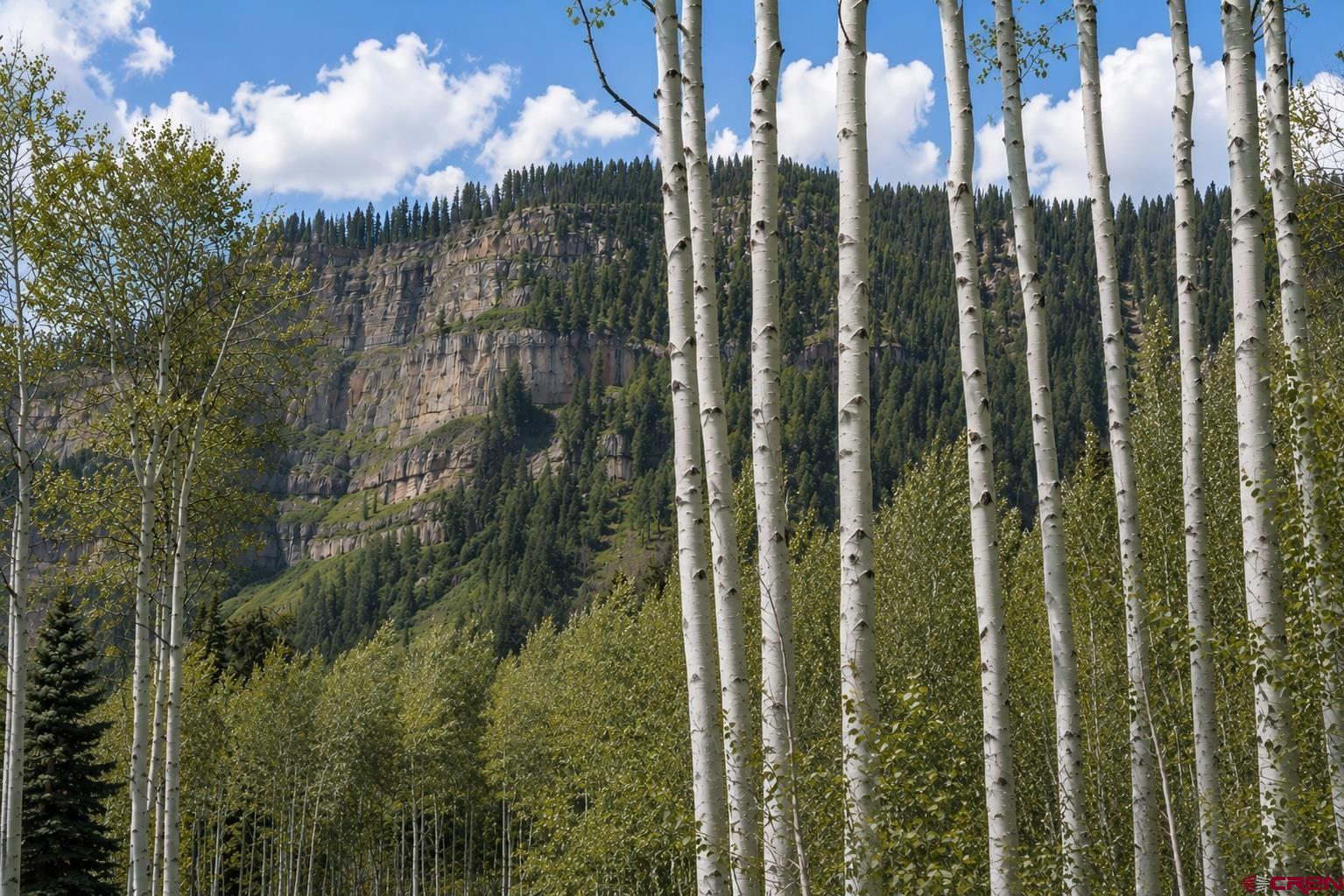 83 Long Story Road Durango, CO 81301 - Photo 4 of 12