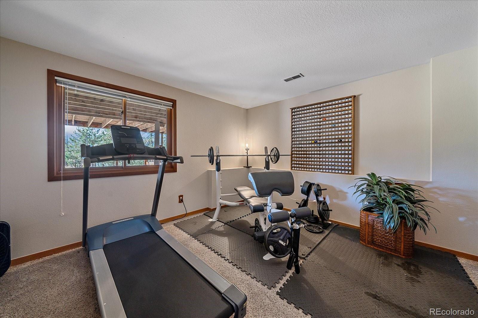 30002 Troutdale Ridge Road Evergreen, CO 80439 - Photo 28 of 37