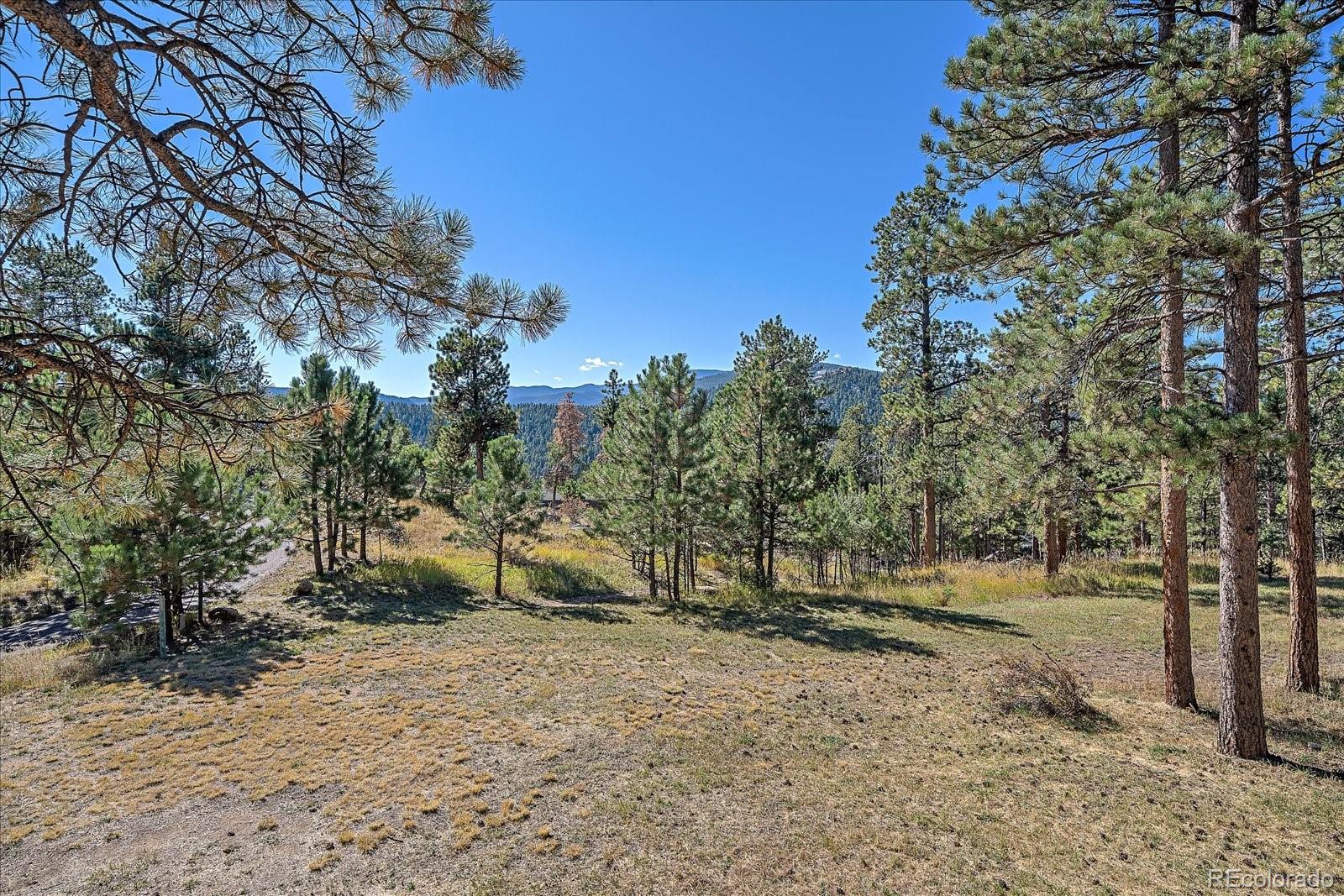 30002 Troutdale Ridge Road Evergreen, CO 80439 - Photo 32 of 37