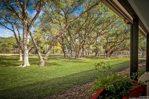 a view of field with trees
