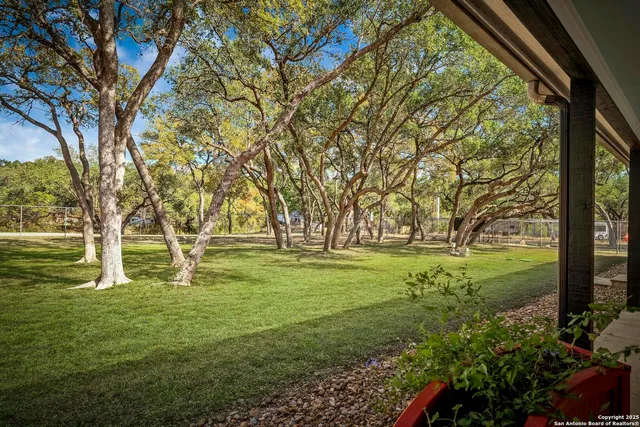a view of field with trees