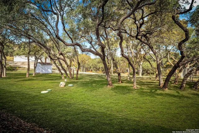 a view of yard with trees