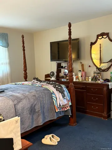 a bed room with a bed and a television