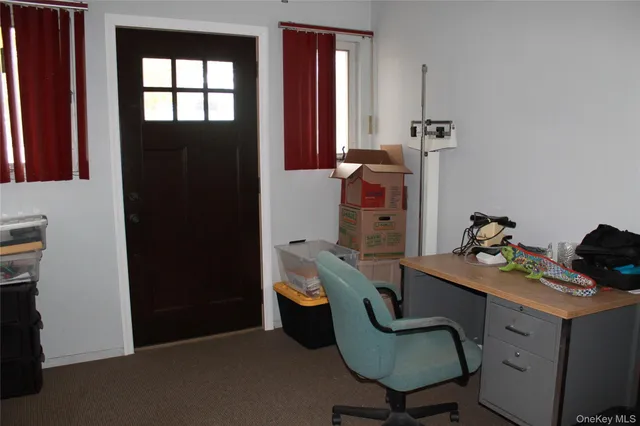 a view of a garden with a bench in the background