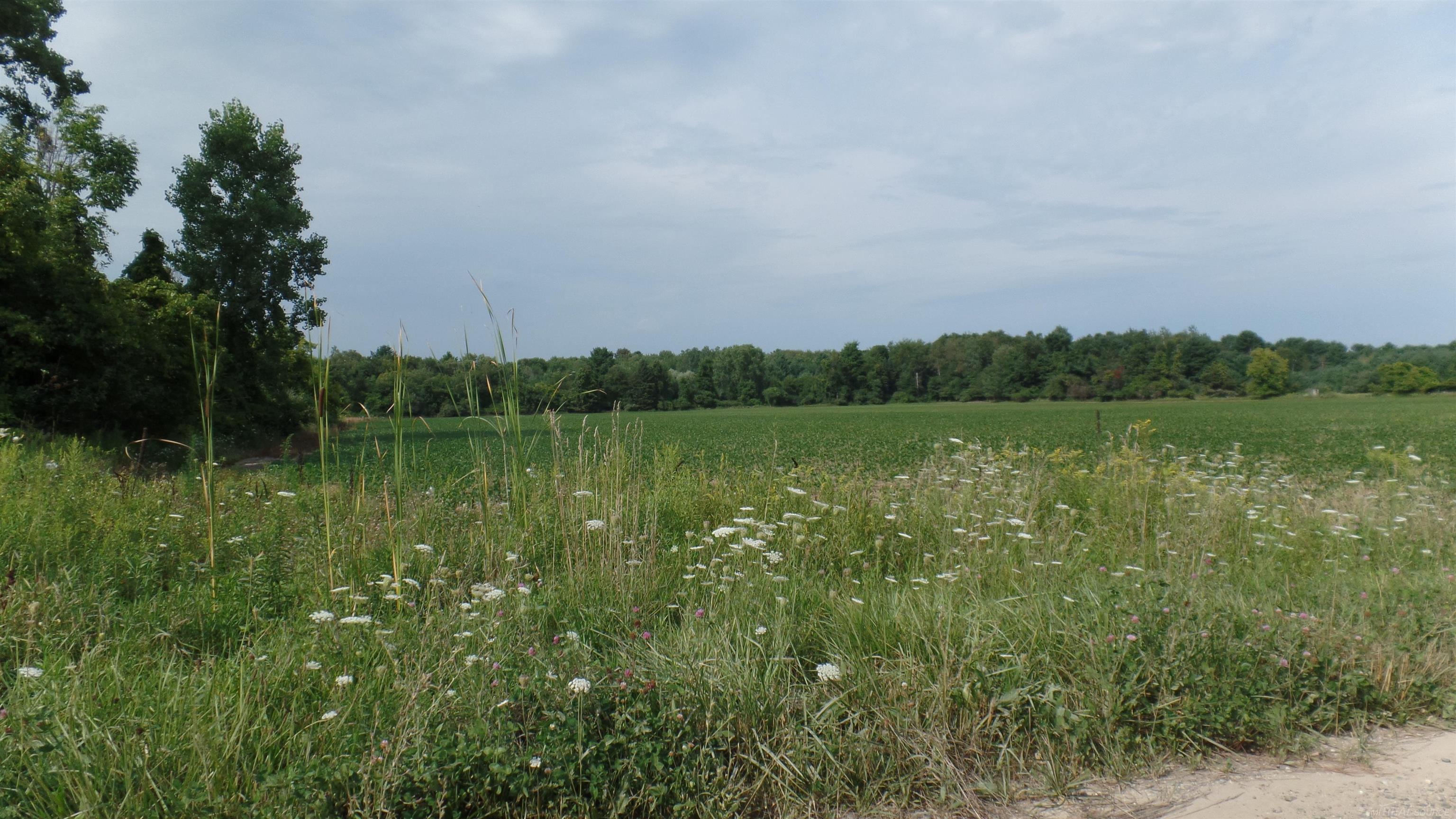 0 French Line Road Carsonville, MI 48419 - Photo 15 of 25
