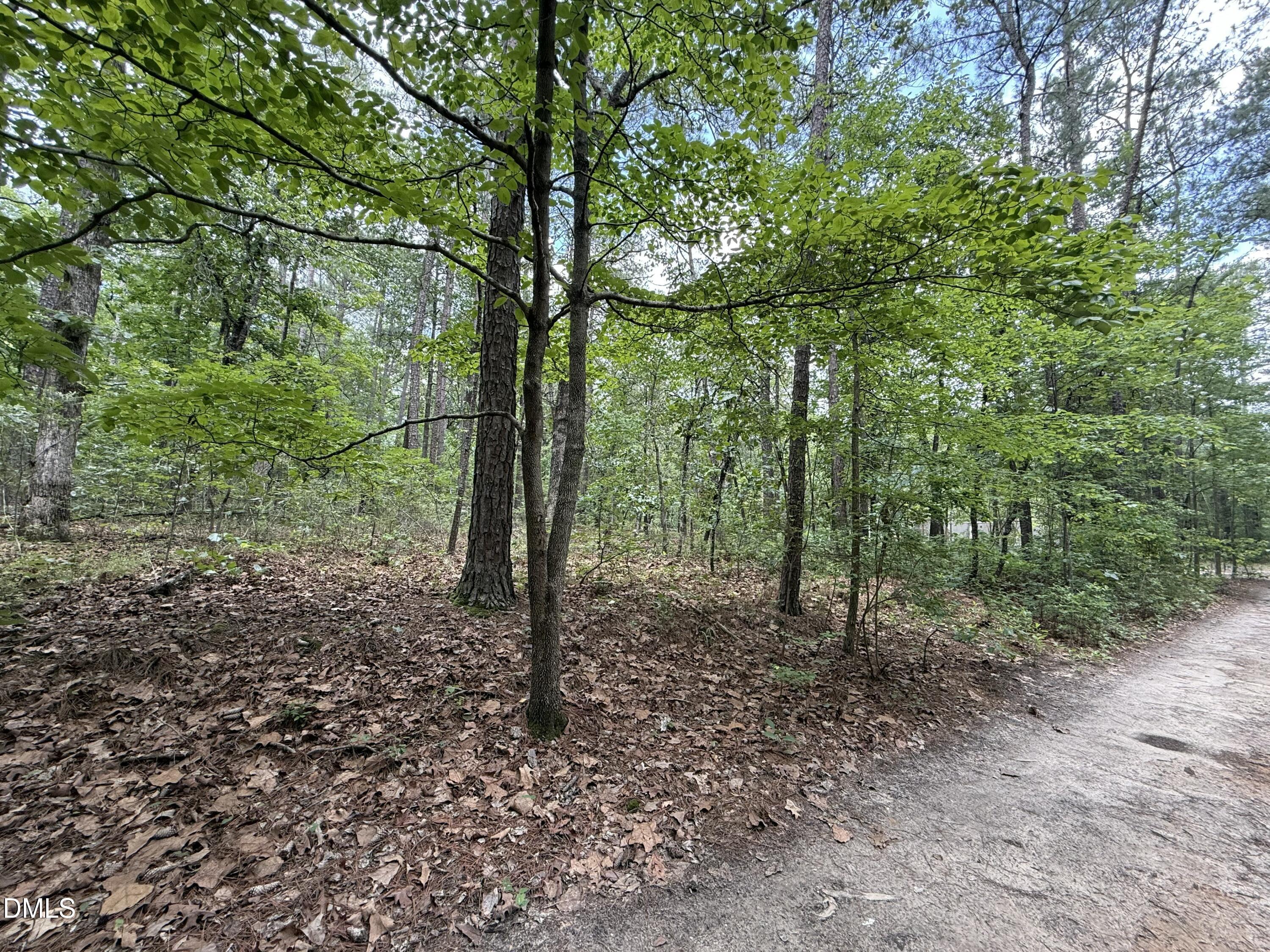 0 Elfman Drive Spring Lake, NC 28390 - Photo 31 of 40 a view of outdoor space and tree