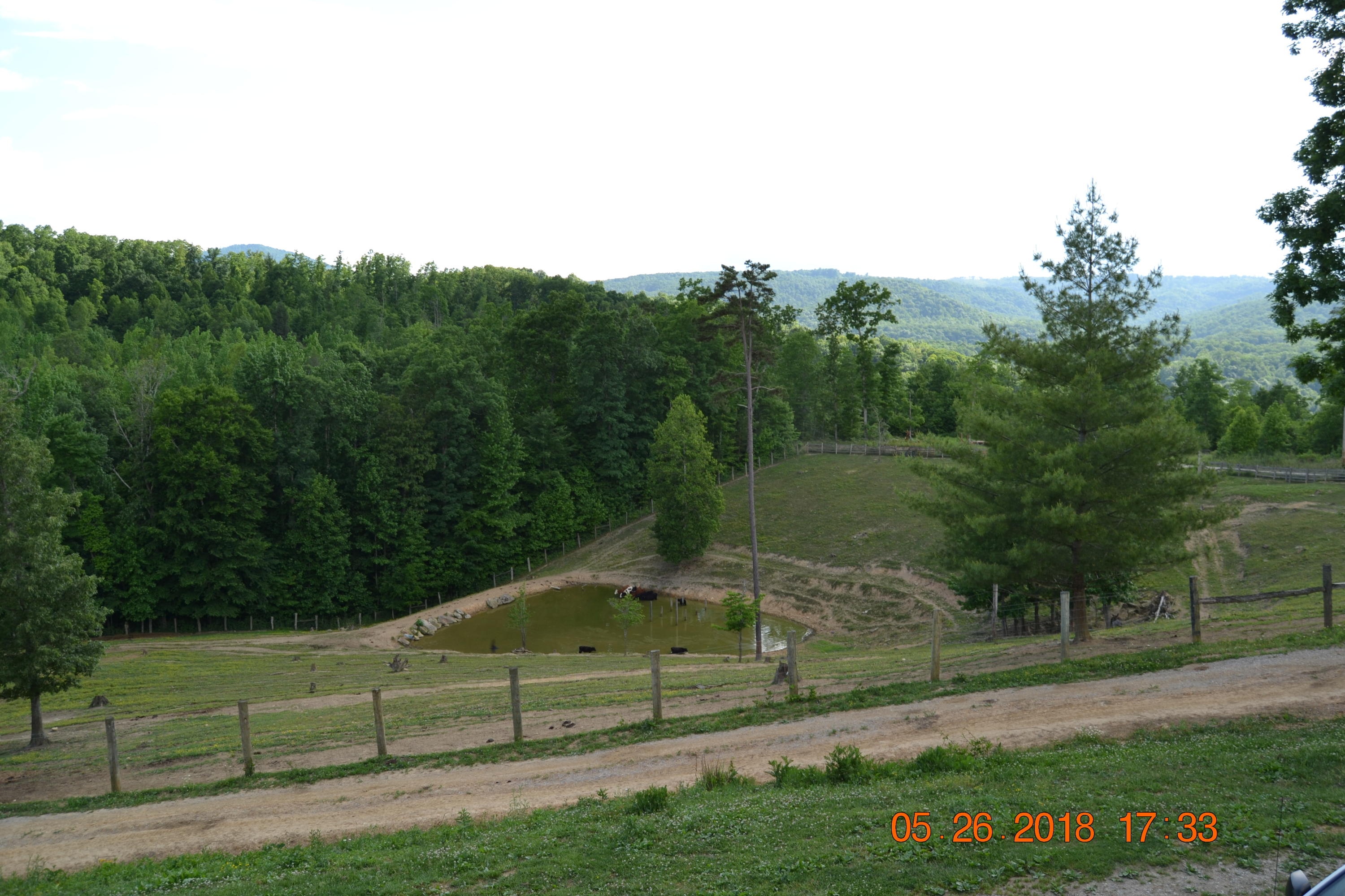 2176 Hurricane Road Huntsville, TN 37756 - Photo 20 of 33 DSC_0589