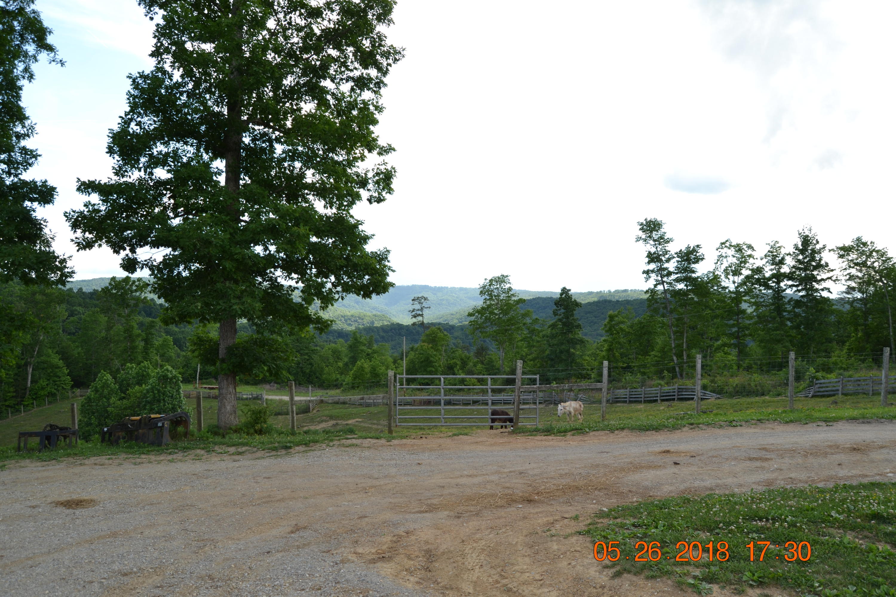 2176 Hurricane Road Huntsville, TN 37756 - Photo 3 of 33 DSC_0579