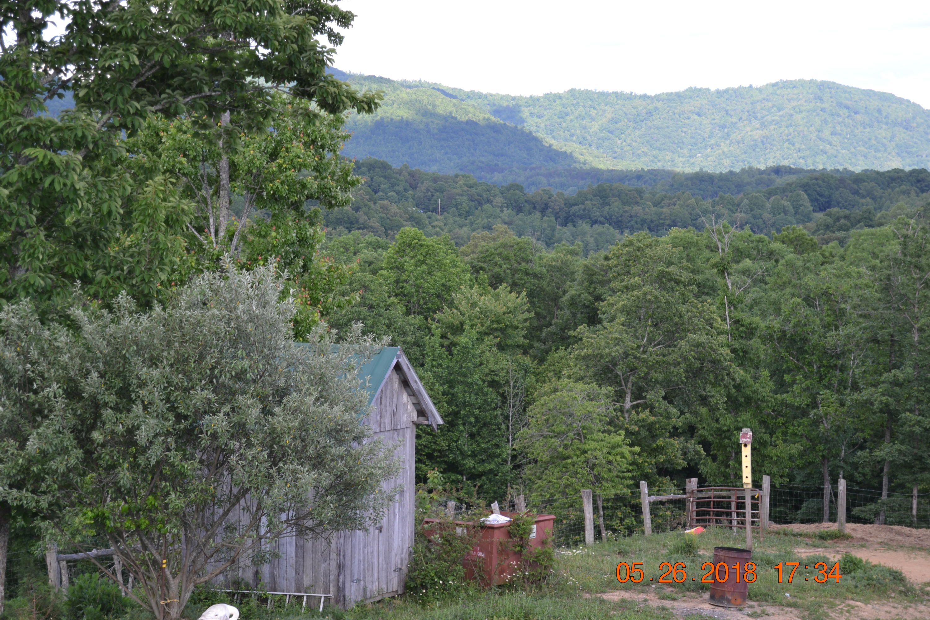 2176 Hurricane Road Huntsville, TN 37756 - Photo 23 of 33 DSC_0593