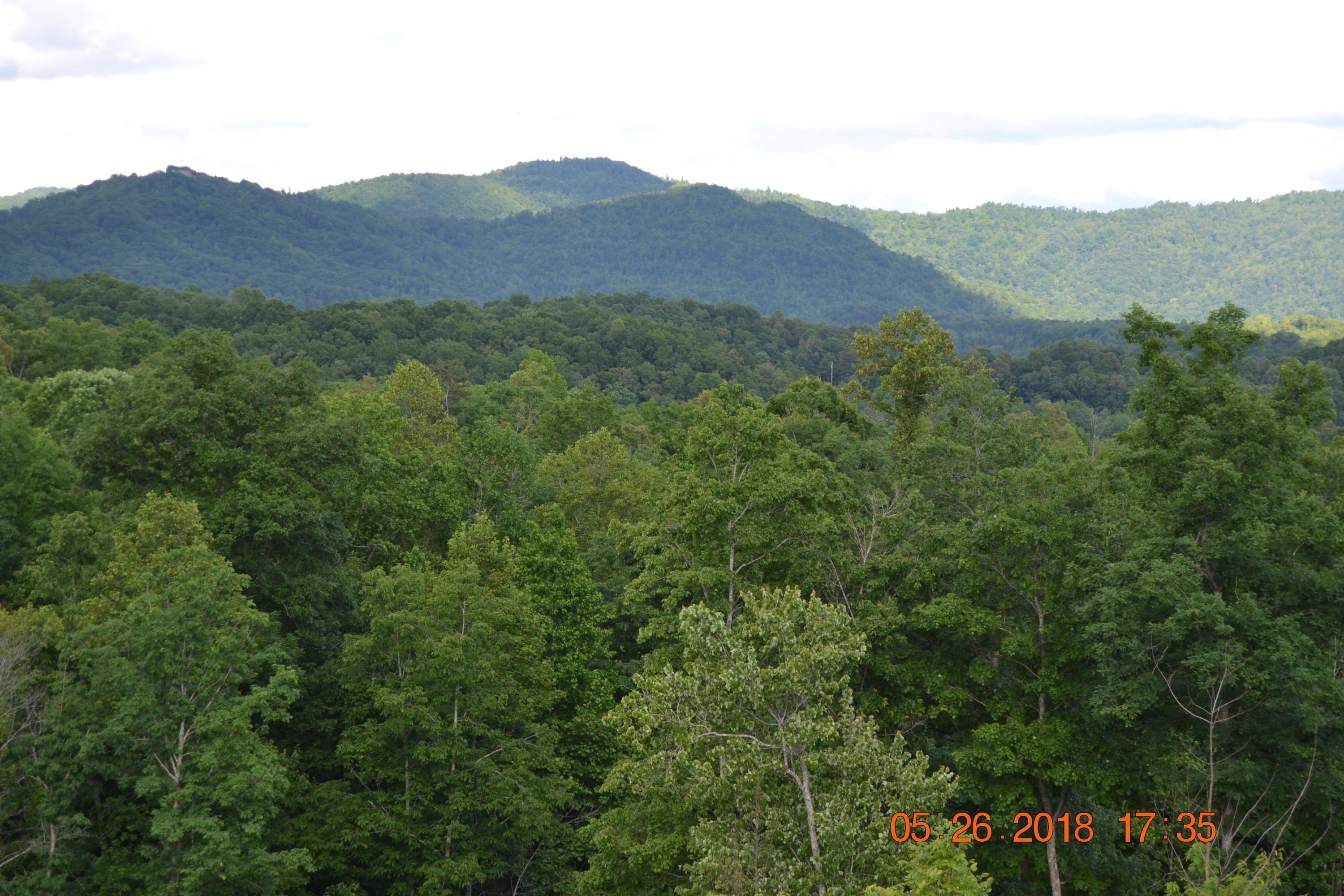 2176 Hurricane Road Huntsville, TN 37756 - Photo 24 of 33 DSC_0594
