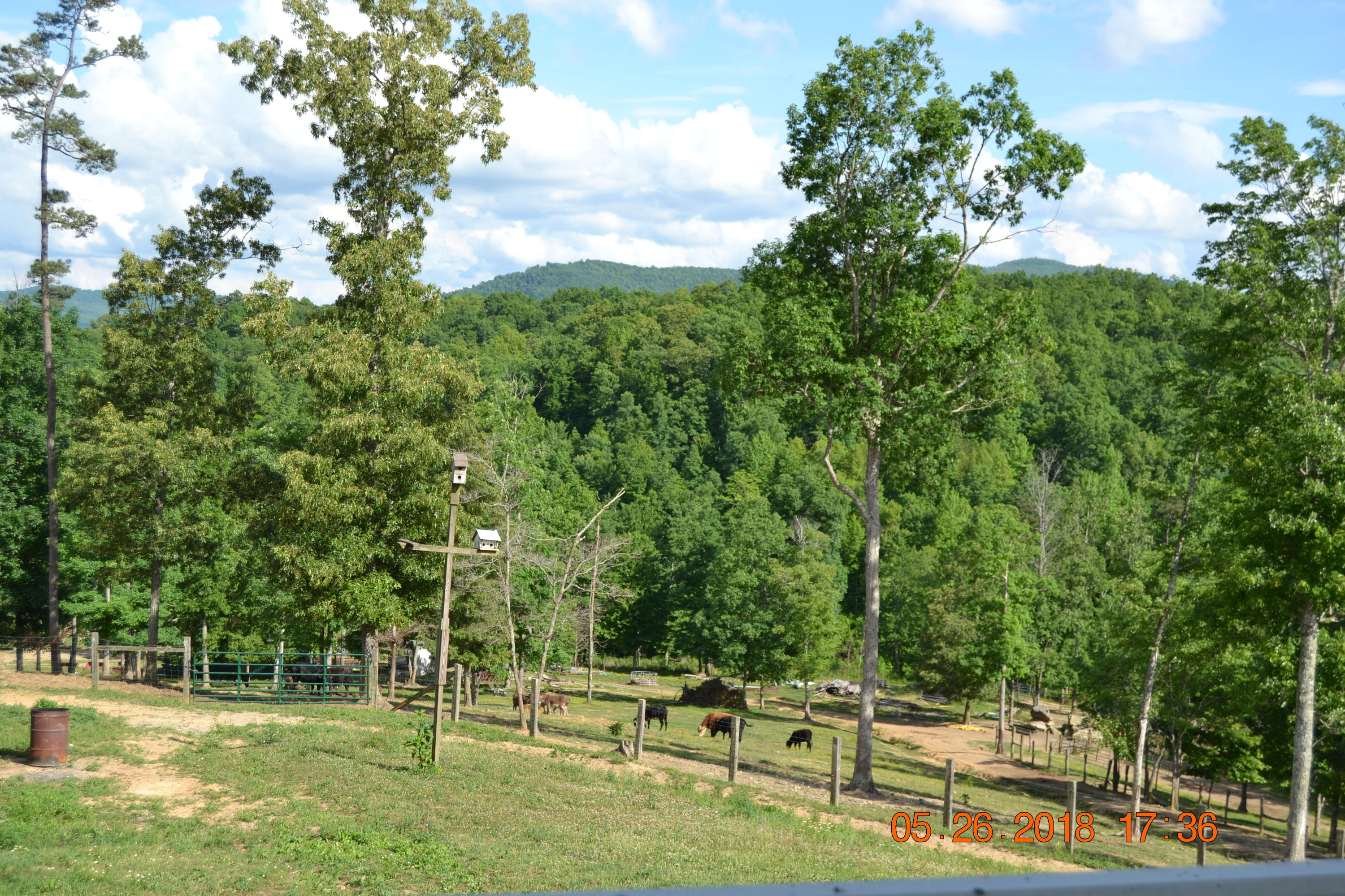 2176 Hurricane Road Huntsville, TN 37756 - Photo 25 of 33 DSC_0597