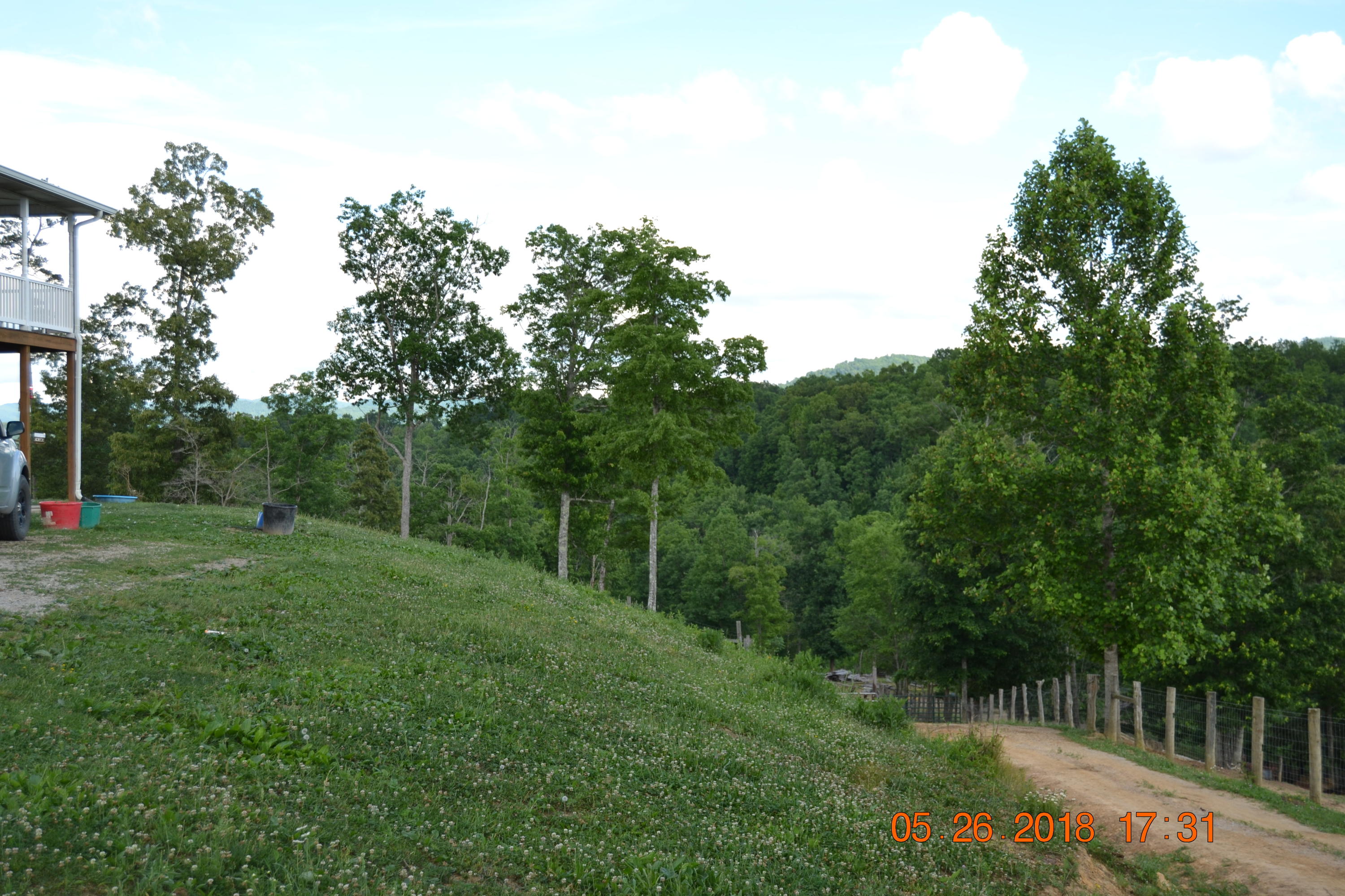 2176 Hurricane Road Huntsville, TN 37756 - Photo 10 of 33 DSC_0583