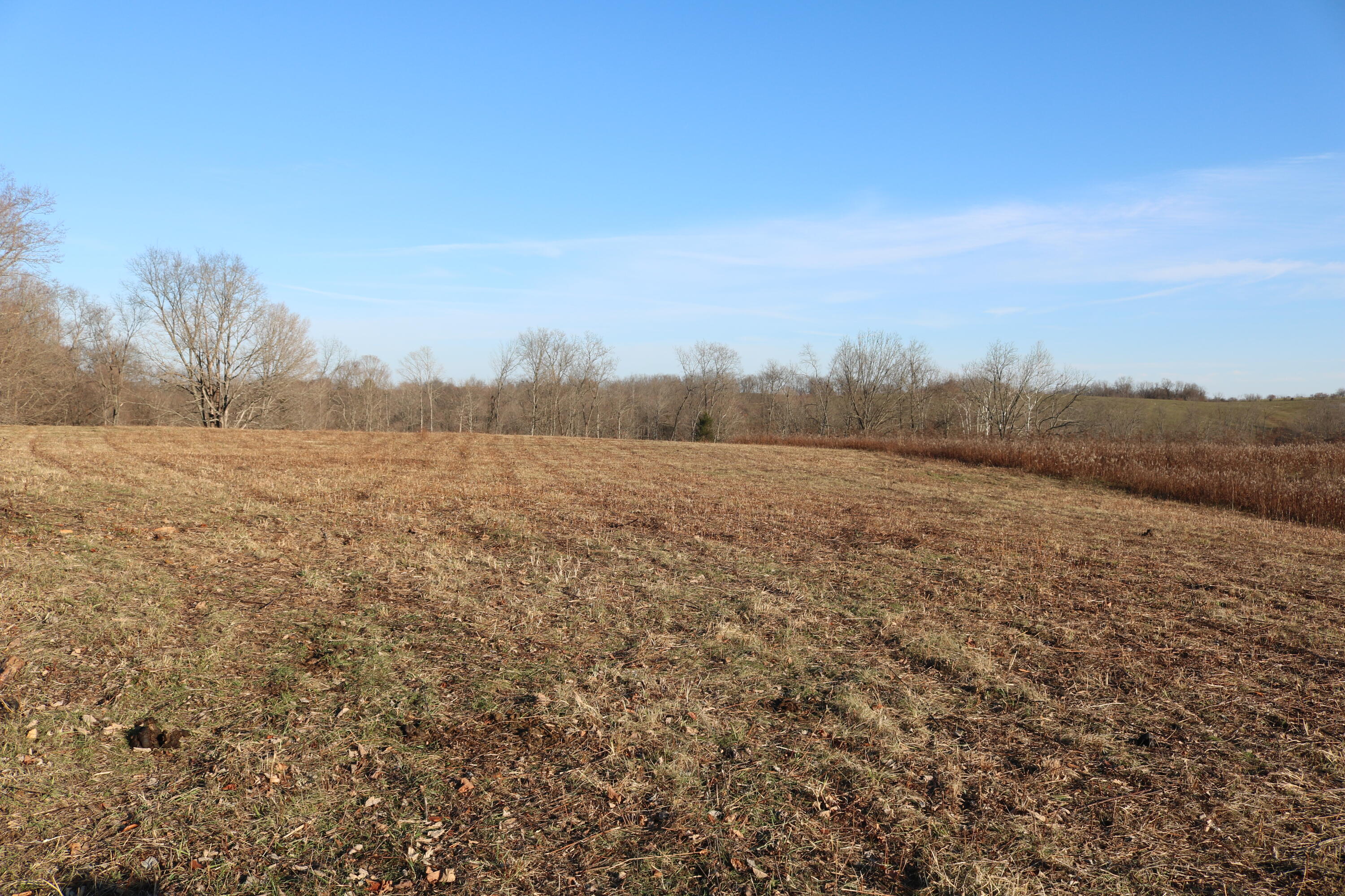 1 B Sharp Road Sharpsburg, KY 40374 - Photo 1 of 6 IMG_7151