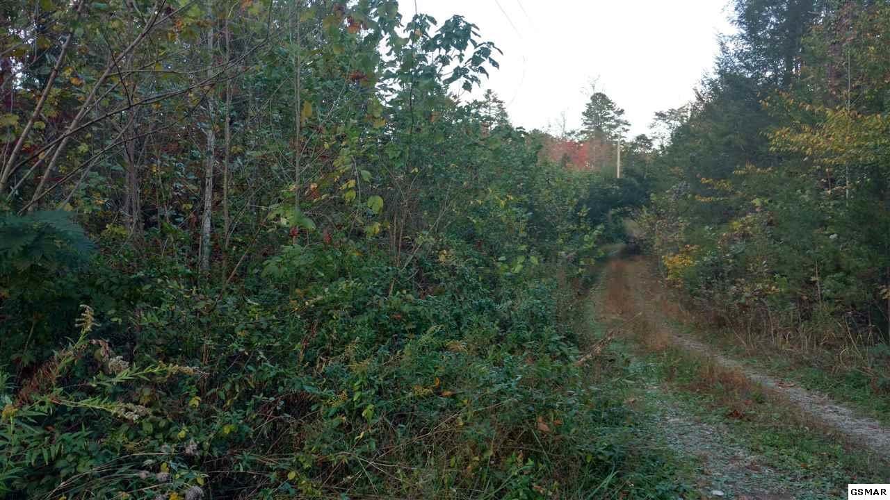 1961 Padgett Mill Road Cosby, TN 37722 - Photo 2 of 7 Gallery Image 2