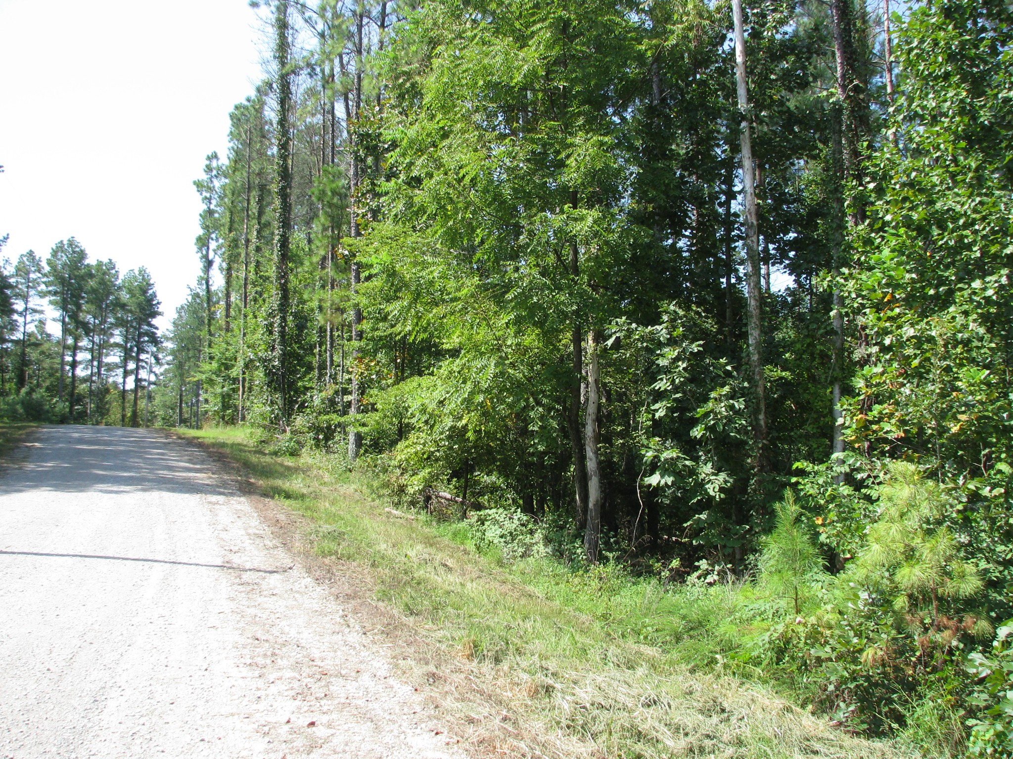1920 Richland Harbor Road Waverly, TN 37185 - Photo 4 of 7 Gallery Image 4