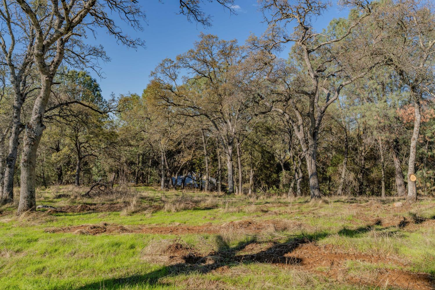 0 North Oak Ridge Circle El Dorado, CA 95623 - Photo 13 of 15 Getting closer to the back of the property line. Some tree removal was done here.